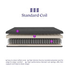 DHP Trule 6-Inch Bonnell Coil Futon Mattress